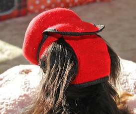 Hallie's 'BUMPER HAT' - (Protective Padded Headgear for Blind Dogs)