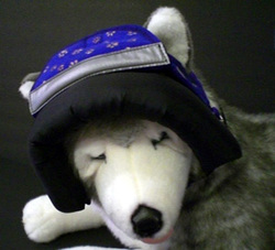 'BUMPER HAT' - (Protective Padded Headgear for 'Special Needs' Pets)