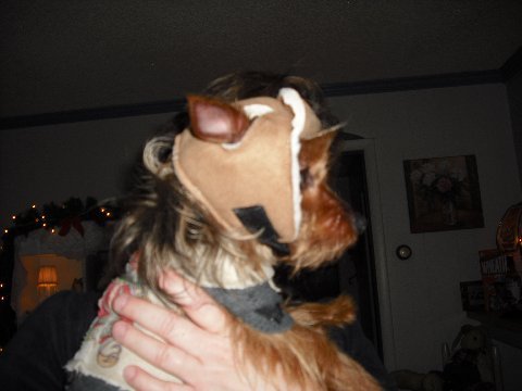 CODY's Padded Sherpa Hat/Headgear for 'Special Needs' Pets