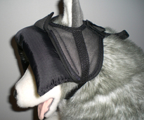 Salsa's 'BUMPER HAT' - (Protective Padded Headgear for Blind Dogs)